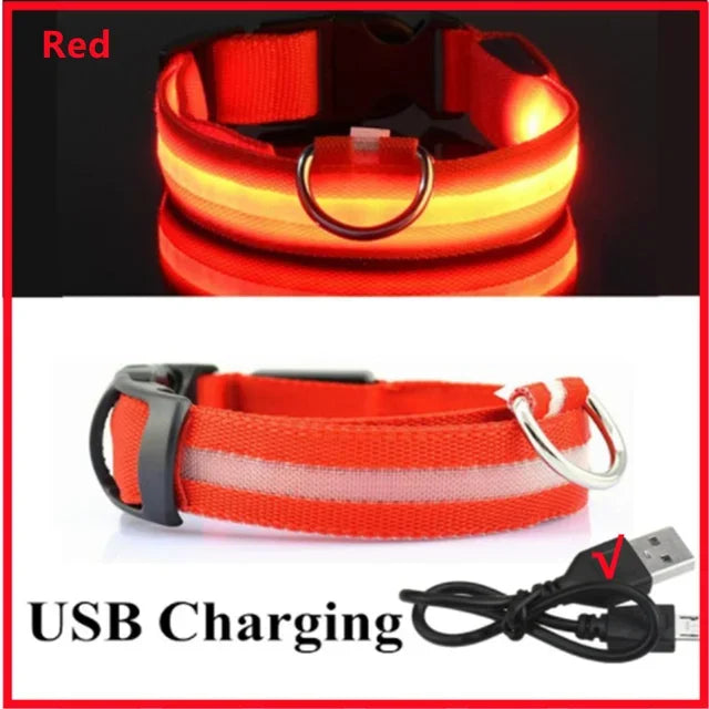 ViziPup LED Safety Collar™