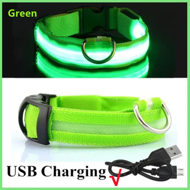 ViziPup LED Safety Collar™