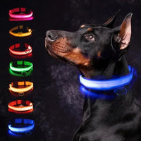 ViziPup LED Safety Collar™