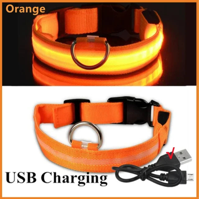 ViziPup LED Safety Collar™