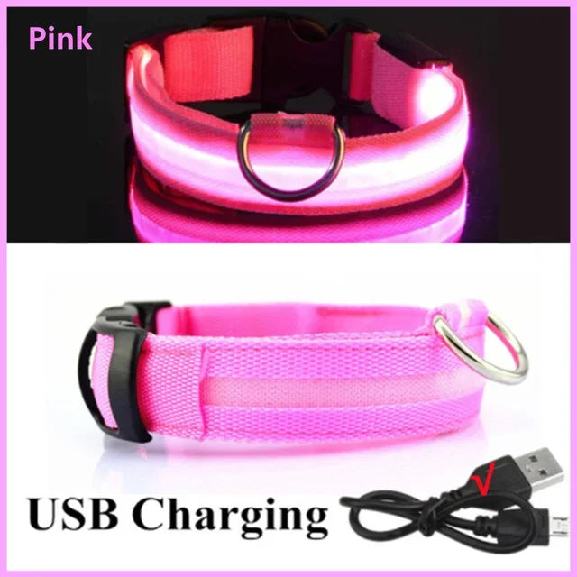 ViziPup LED Safety Collar™