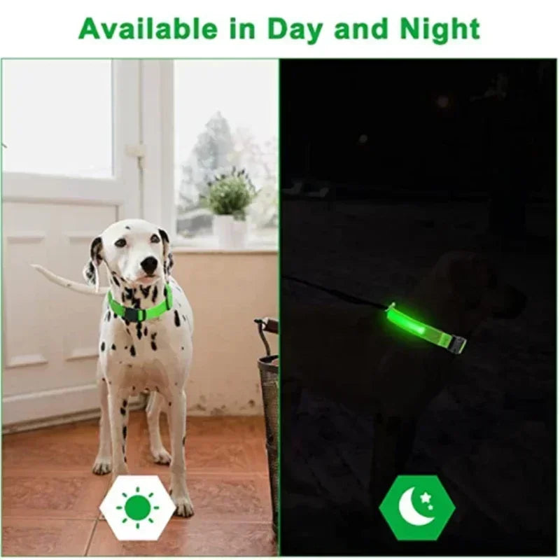 ViziPup LED Safety Collar™