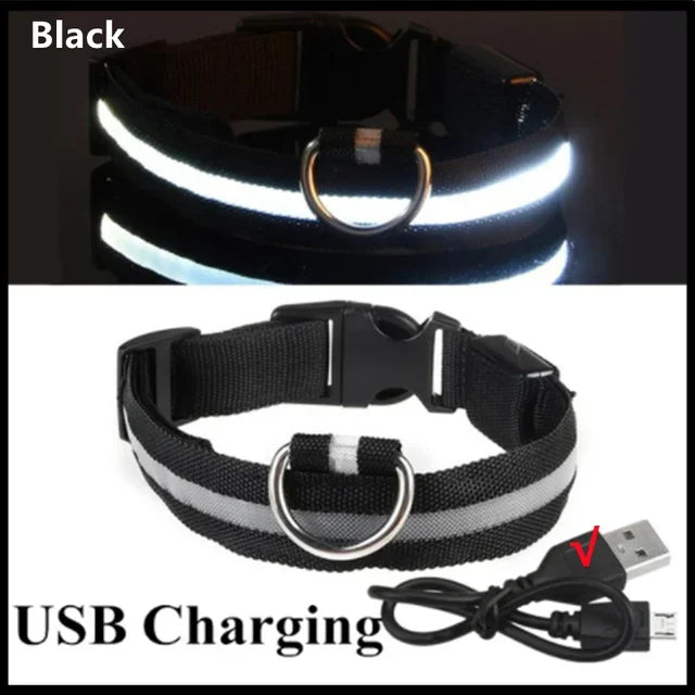ViziPup LED Safety Collar™